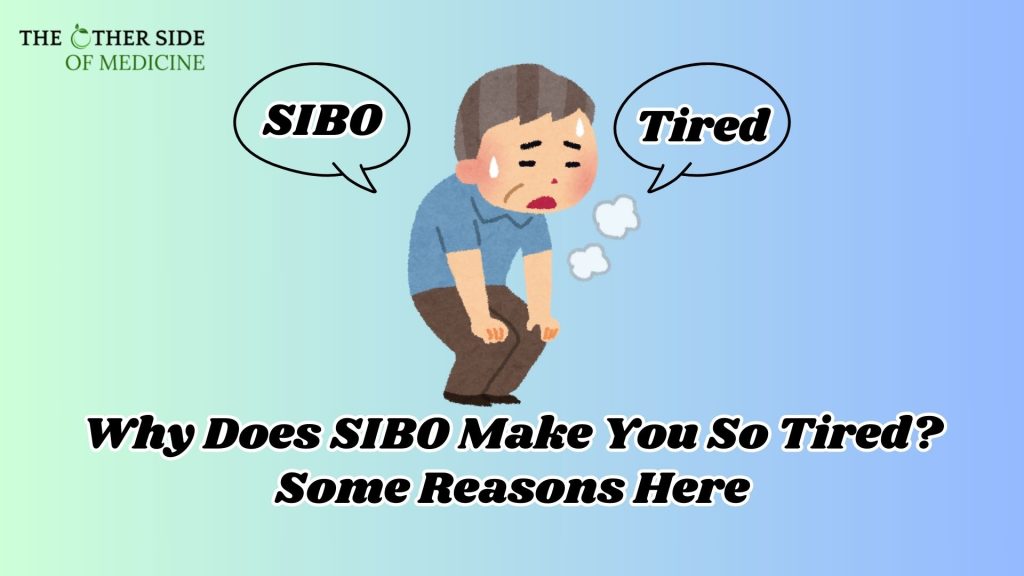 Why Does SIBO Make You So Tired