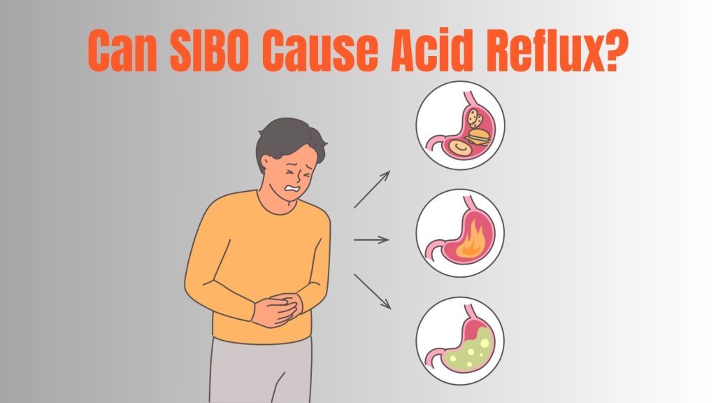 Can SIBO Cause Acid Reflux